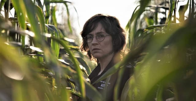 Festival Film: Highway 65