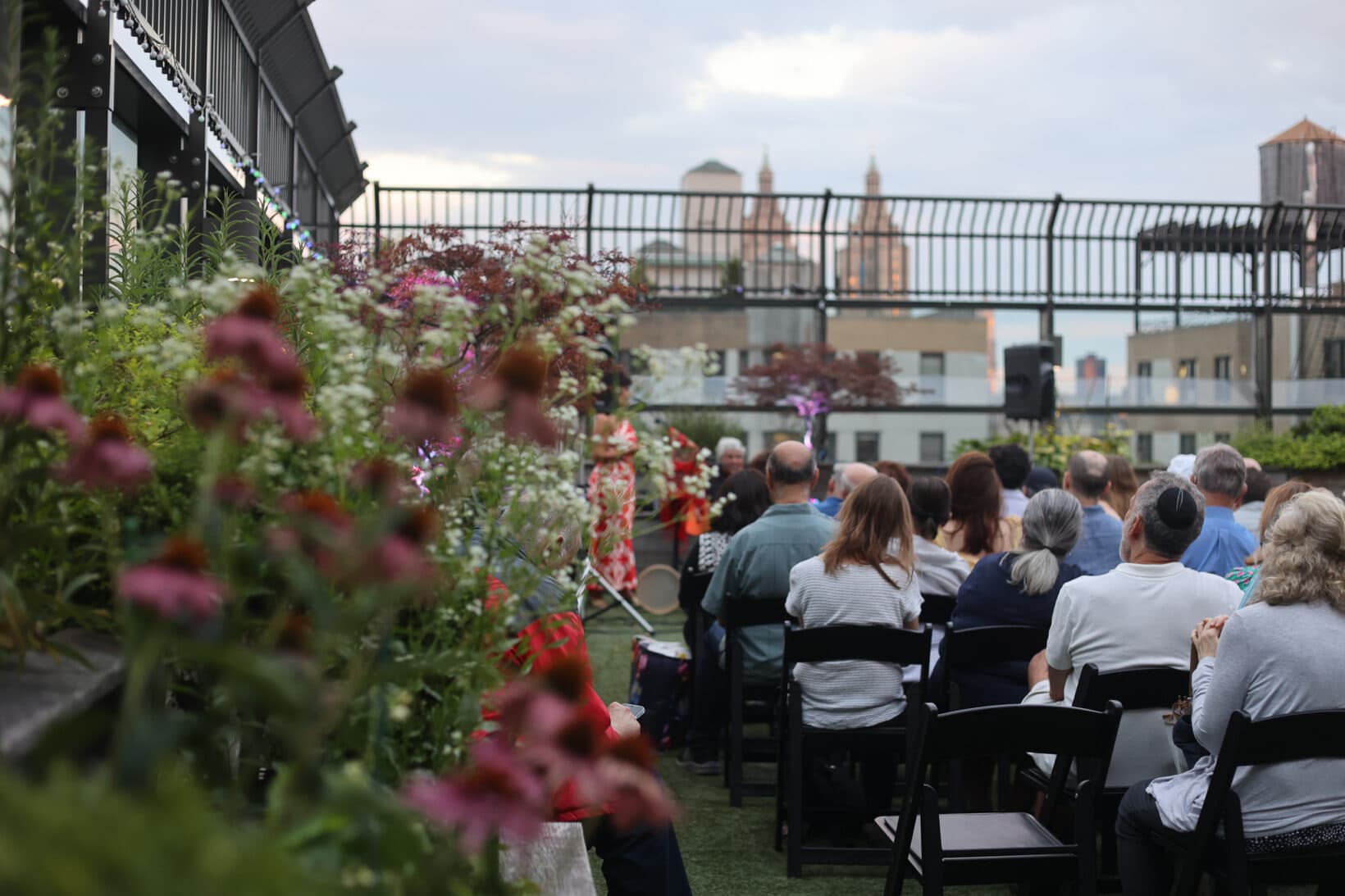 Rooftop Concert Crowd Picturew